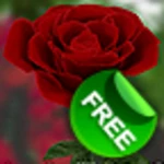 Logo of 3D Rose Live Wallpaper Free android Application 