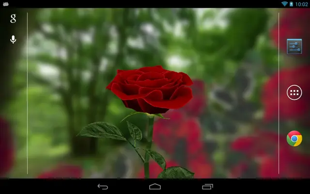 3D Rose Live Wallpaper Free android App screenshot 3